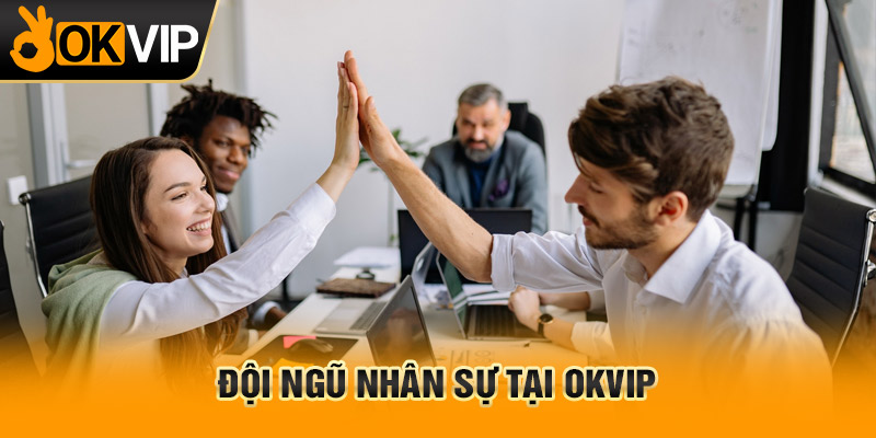 Đội ngũ nhân sự tại OKVIP
